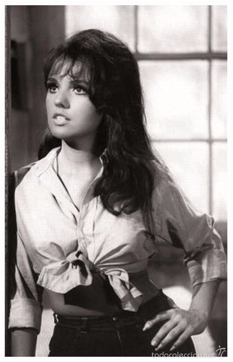 dawn wells sexy pics